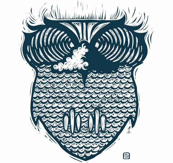 an owl design is created though different aspects of waves and ocean. The head, eyes, and beak are created with a straightforward view of a crashing wave. The feathers are creating with repeating texture of wave chop, and the claws are creating by displaying differnt surfboard shapes